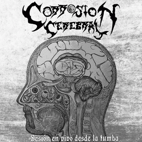 Sesi​ó​n en Vivo - Desde la Tumba